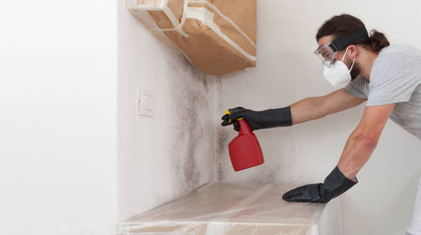 Professional Mold Remediation technician working in Lattingtown, NY